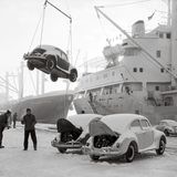 Käfer mit offener Motorhaube