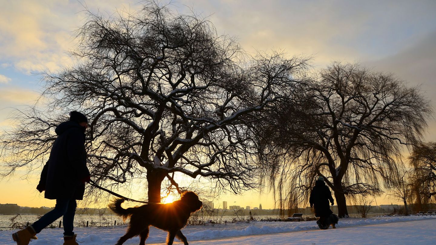 Meteorologen erwarten am Freitag bis zu 15 Zentimeter Neuschnee und kräftigen Wind in Norddeutschland. Foto: Christian Charisius