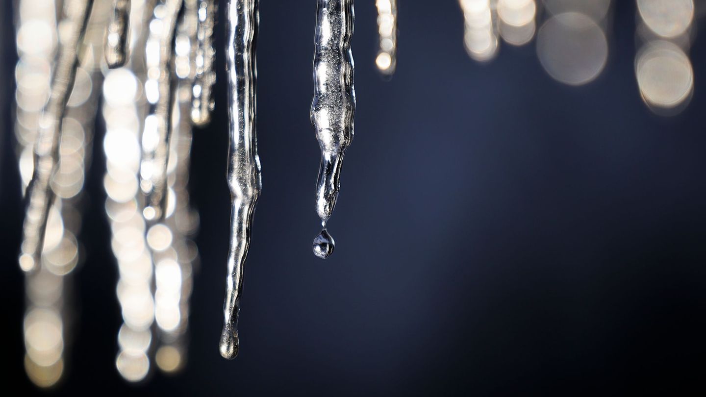 In Worms war es in der vergangenen Nacht besonders kalt (Symbolbild) Foto: Christian Charisius/dpa