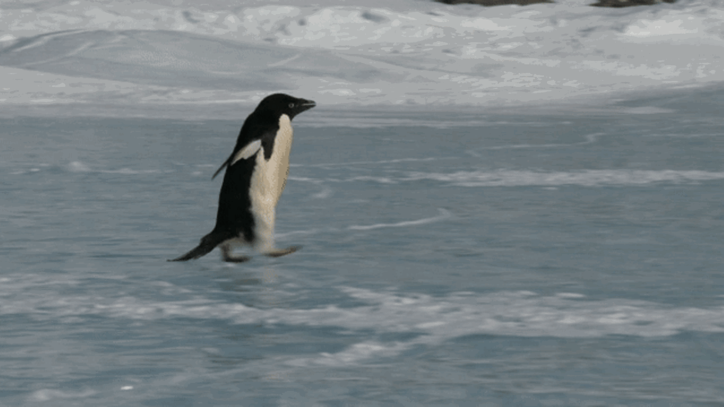 Humor-Winter-in-Hamburg-Gebt-uns-endlich-Bergepanzer-