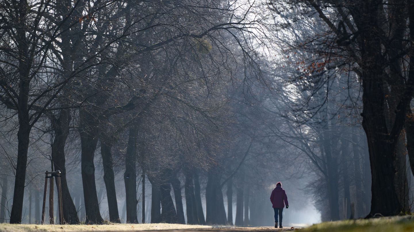 Einige Skulpturen aus dem Bestand des Großen Gartens können aufgrund ihres Alters oder ihres Zustandes nicht mehr im Freien aufg