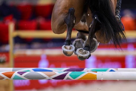 Eine Lokalmatadorin will beim CSI wieder überzeugen. (Symbolbild) Foto: Jan Woitas/dpa