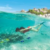 Ein Erlebnis für alle Sinne: Schnorcheln in der farbenfrohen Unterwasserwelt der Karibik.