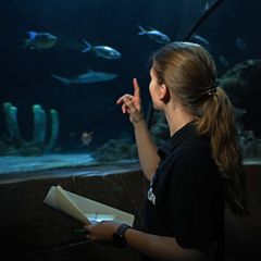 Aquaristin Lisa Winkelgrund zählt die Tiere im Becken. Foto: Shireen Broszies/dpa