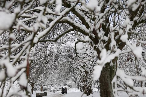 Der Hauptfriedhof in Altona ist wegen des Winterwetters schon gesperrt worden. (Archivbild) Foto: Christian Charisius/dpa