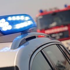 Bislang ist unklar, warum in dem Schweinestall ein Feuer ausgebrochen ist - die Ermittlungen hierzu laufen. (Symbolfoto) Foto: M