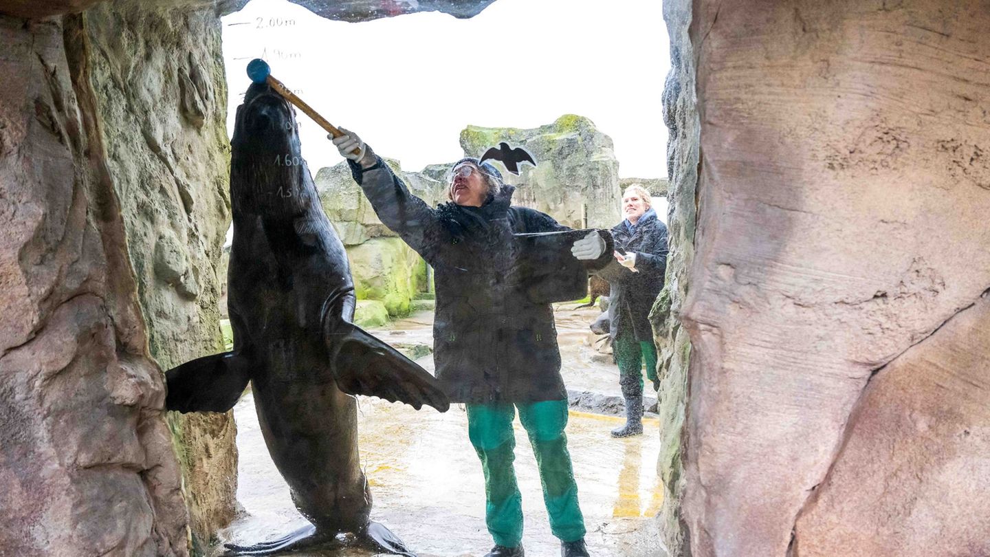 Wie viele Tiere leben im Zoo am Meer in Bremerhaven? Und wie groß sind sie? Das wollen die Tierpfleger und -pflegerinnen auch in
