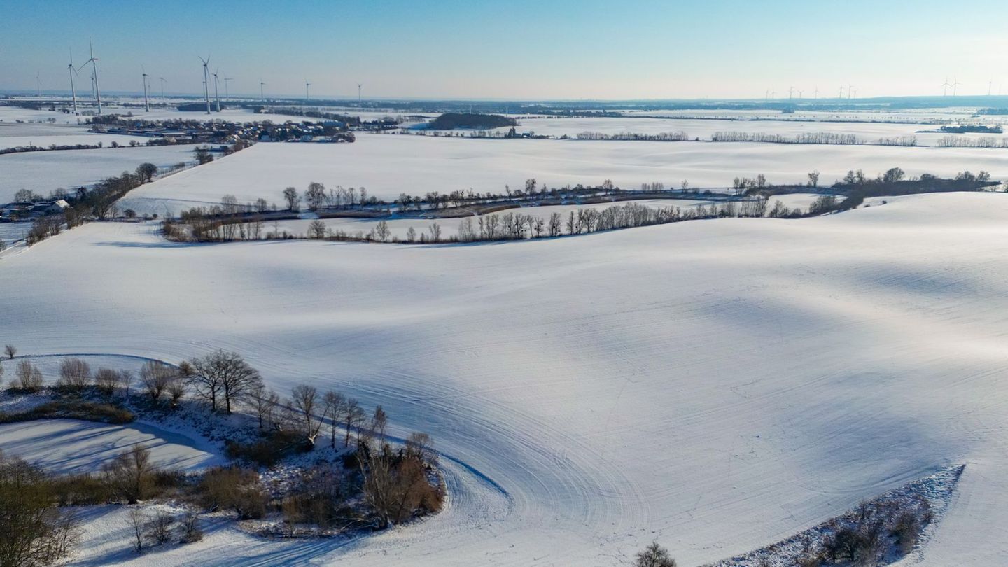 In Berlin und Brandenburg werden Frost und Schnee erwartet. Foto: Patrick Pleul/dpa