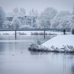 Der Bremer Werdersee hat aktuell eine dünne Eisschicht. (Archivbild) Foto: Focke Strangmann/dpa