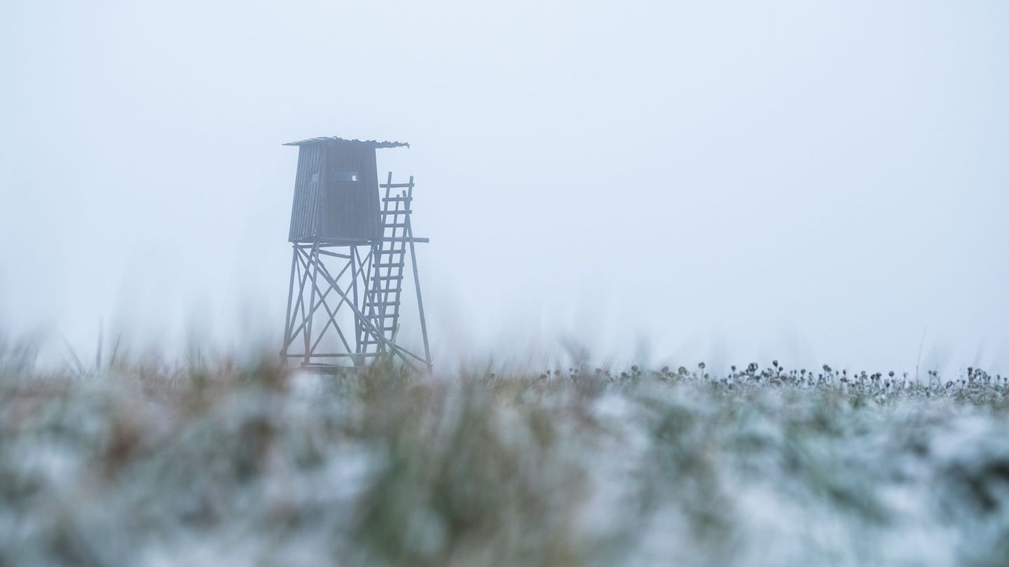 Der Jäger schoss aus seinem Hochsitz. (Symbolbild) Foto: Silas Stein/dpa