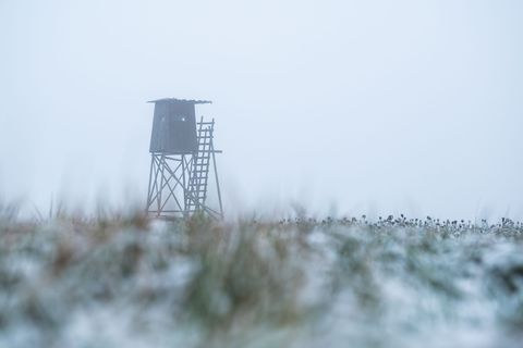 Der Jäger schoss aus seinem Hochsitz. (Symbolbild) Foto: Silas Stein/dpa