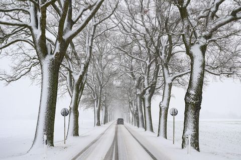 Deutschland steht mit Wintersturm "Elli" eine Extremwetterlage bevor