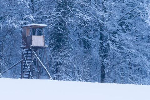 Ein Hochsitz steht am Rand eines Waldes im Schnee – Symbolbild für Jäger schoss auf Frau