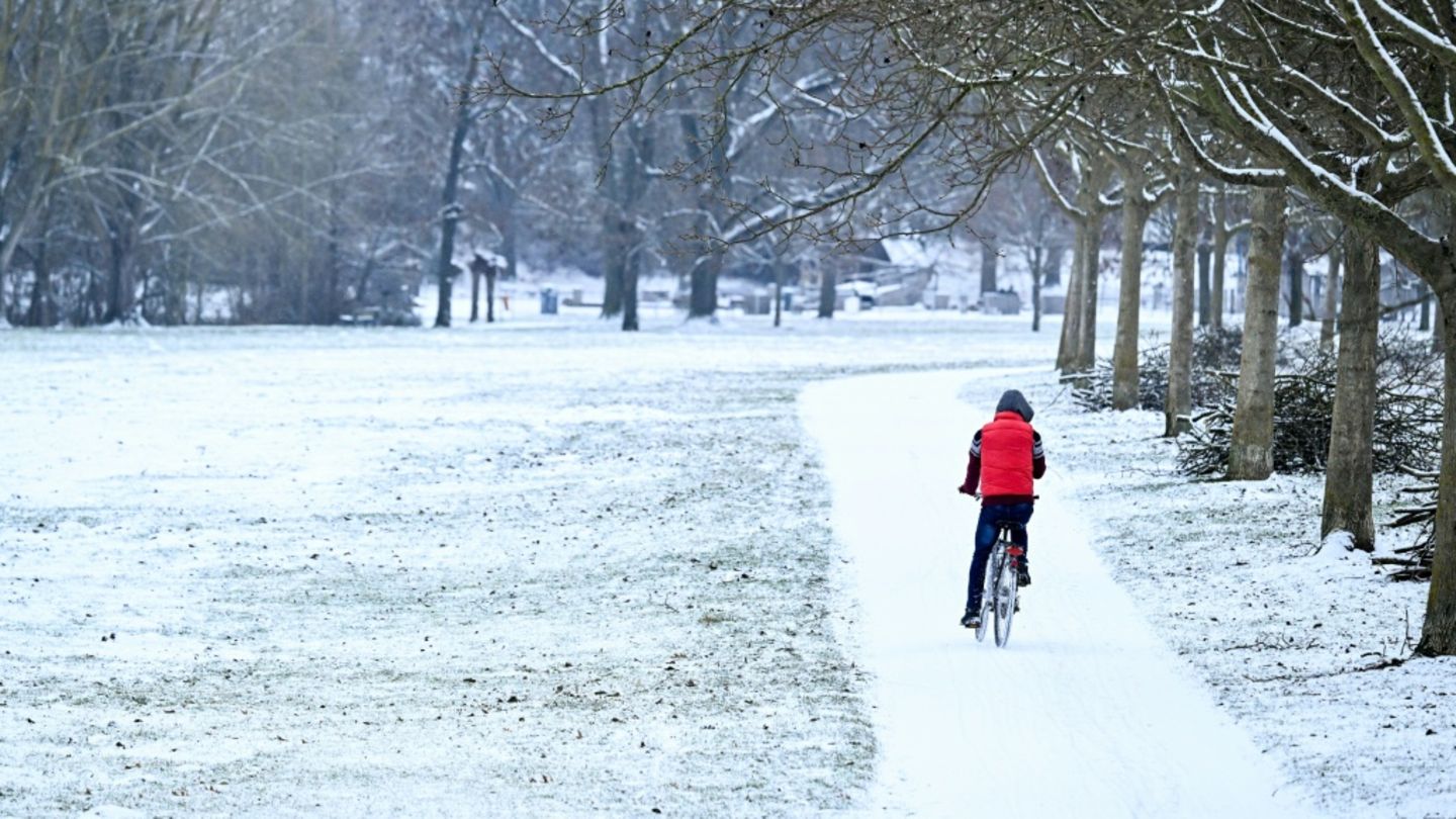 Verschneiter Park in Frankfurt