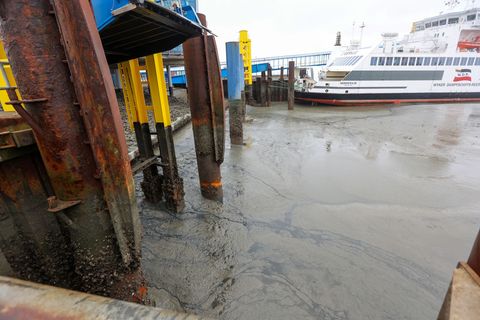 Zahlreiche Fährverbindungen fallen Freitag wegen des angekündigten Niedrigwassers aus. (Archivbild) Foto: Bodo Marks/dpa