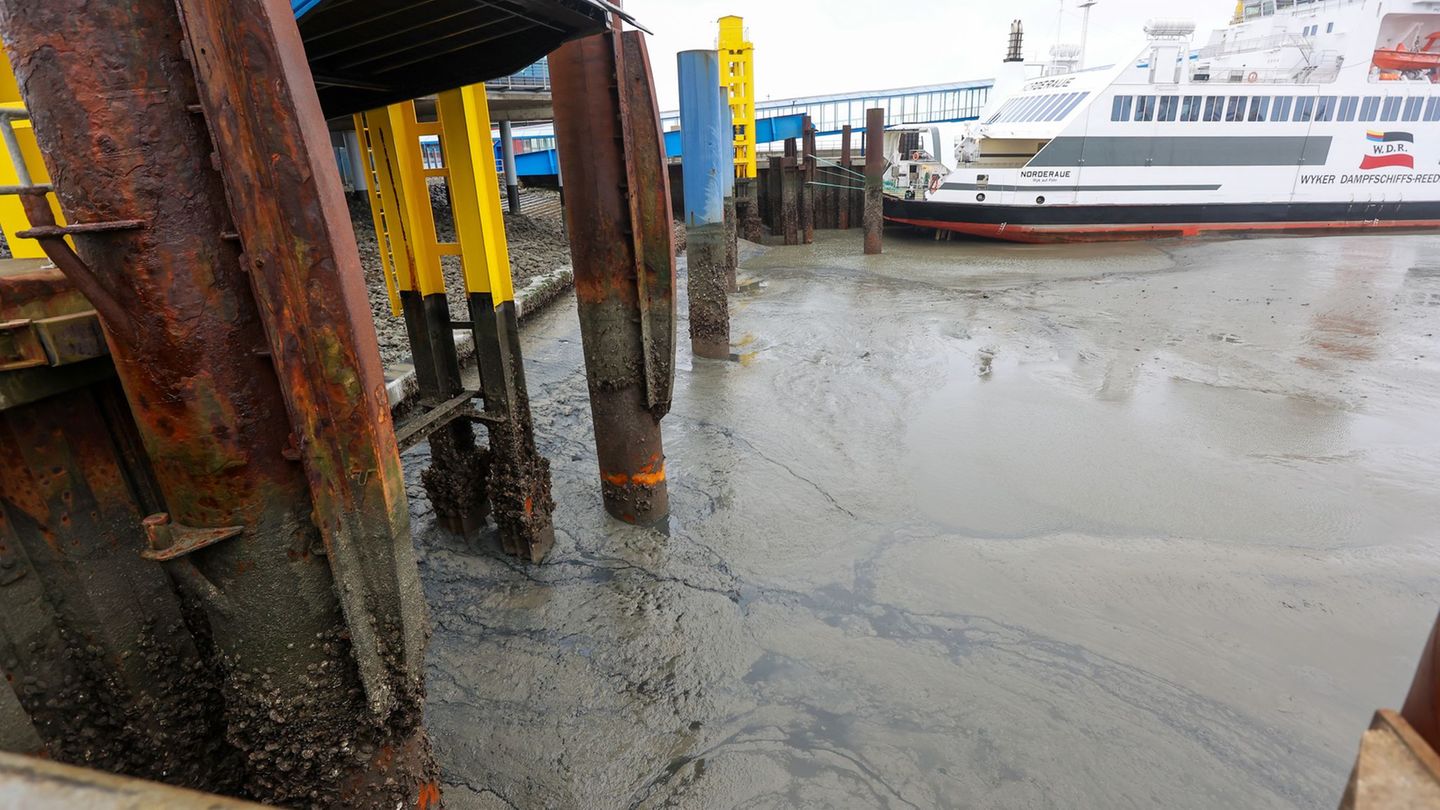 Zahlreiche Fährverbindungen fallen Freitag wegen des angekündigten Niedrigwassers aus. (Archivbild) Foto: Bodo Marks/dpa