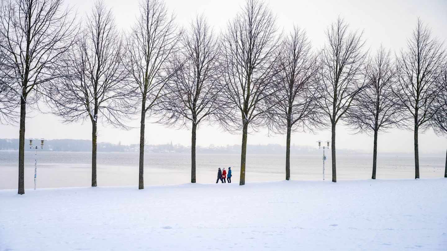 Teils ist ungemütliches Winterwetter am Wochenende in MV vorhergesagt mit Böen und möglichen Schneeschauern. (Archiv) Foto: Stef