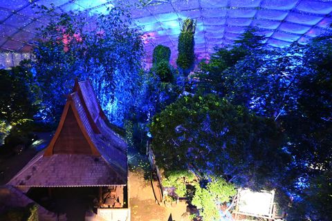 Der Zoo Leipzig bietet an frostigen Tagen warme Attraktionen. Foto: David Hammersen/dpa