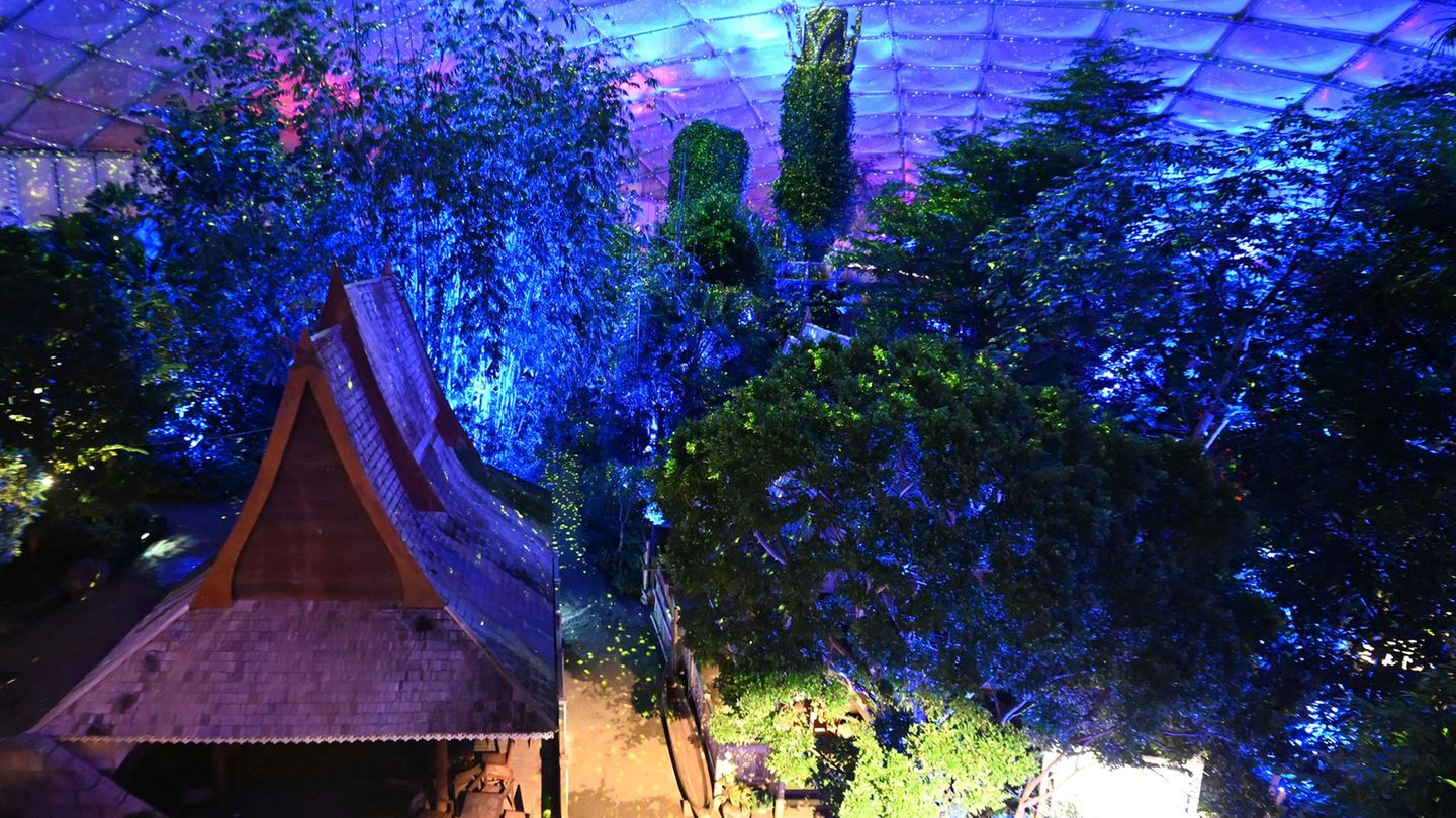 Der Zoo Leipzig bietet an frostigen Tagen warme Attraktionen. Foto: David Hammersen/dpa