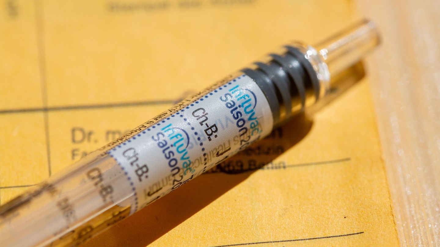 Der Anteil der älteren Menschen mit Grippeimpfung ist in Mainz am höchsten. (Symbolbild) Foto: Fernando Gutierrez-Juarez/dpa