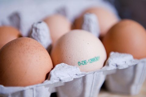 Packung mit rohen Eiern