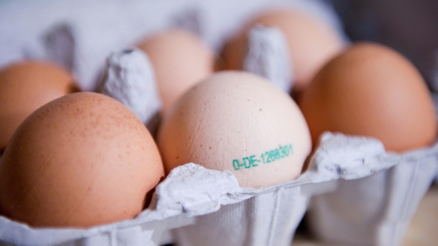 Packung mit rohen Eiern