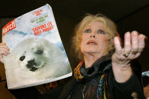 Brigitte Bardot engagierte sich für Robben