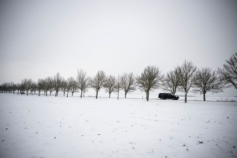 Für Freitag sind viel Schnee und Sturm angekündigt. Die Landkreise Nordwestmecklenburg und Ludwigslust-Parchim haben den Schulbu