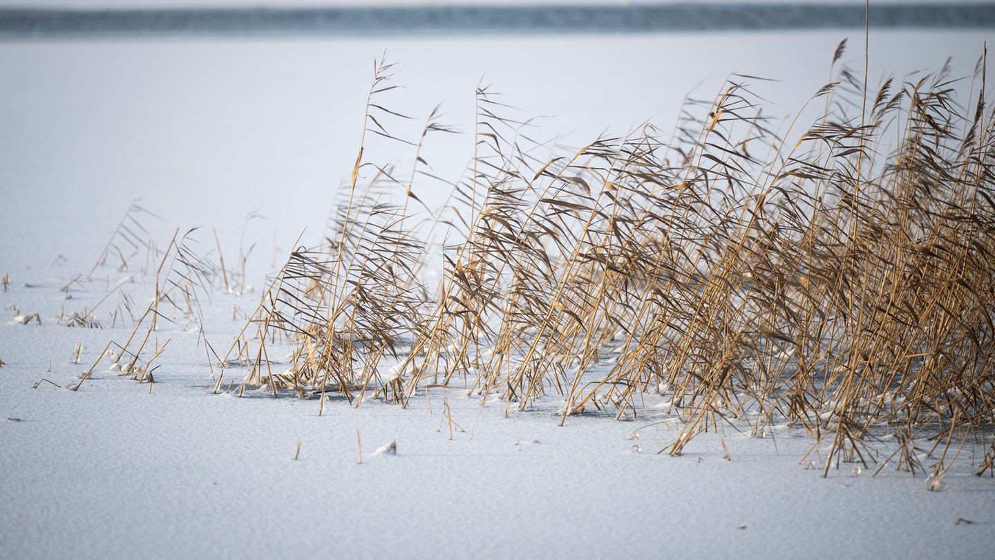 Die eisigen Temperaturen schränken in MV auch den Fährverkehr teilweise ein. Foto: Philip Dulian/dpa