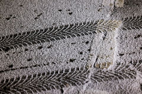 Für den Fahrer des getroffenen Autos ging der Schneeball-Wurf glimpflich aus. (Symbolbild) Foto: Thomas Banneyer/dpa