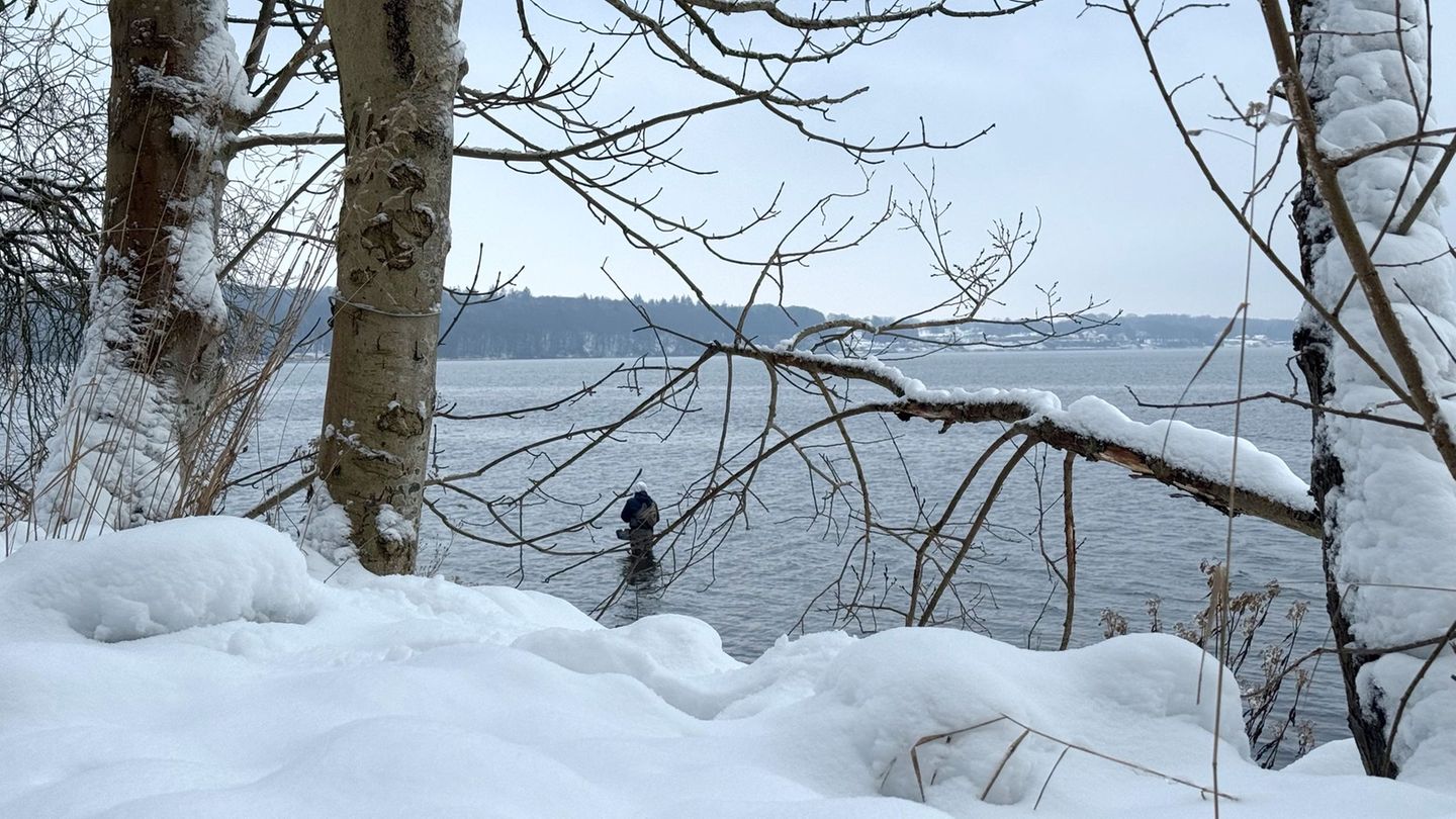 Eine schöne Seite des Winters im Norden. Foto: Birgitta von Gyldenfeldt/dpa