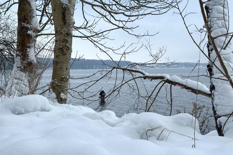Eine schöne Seite des Winters im Norden. Foto: Birgitta von Gyldenfeldt/dpa