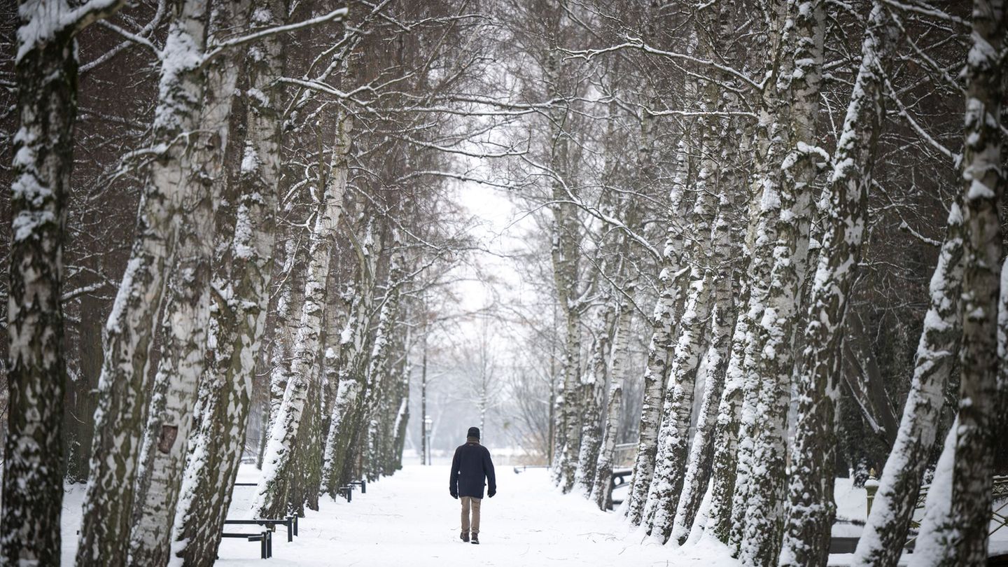Ab Freitagmittag bleiben die Schweriner Friedhöfe geschlossen. (Archivbild) Foto: Philip Dulian/dpa