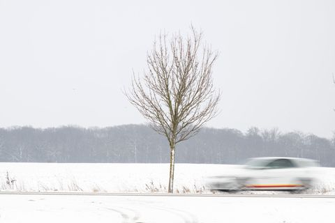 Teils stürmisches Winterwetter ist für Mecklenburg-Vorpommern vorhergesagt. Foto: Philip Dulian/dpa