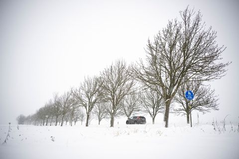 Für Teile von MV hat der DWD eine Unwetterwarnung ausgesprochen. Foto: Philip Dulian/dpa