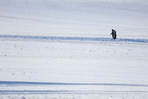 Auch in Sachsen-Anhalt müssen sich die Schülerinnen und Schüler am Freitag möglicherweise durch viel Schnee zur Schule kämpfen.