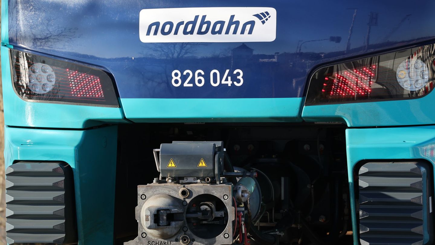 Die Nordbahn hat alle Zugfahrten am Freitag zunächst abgesagt. (Archivbild) Foto: Christian Charisius/dpa