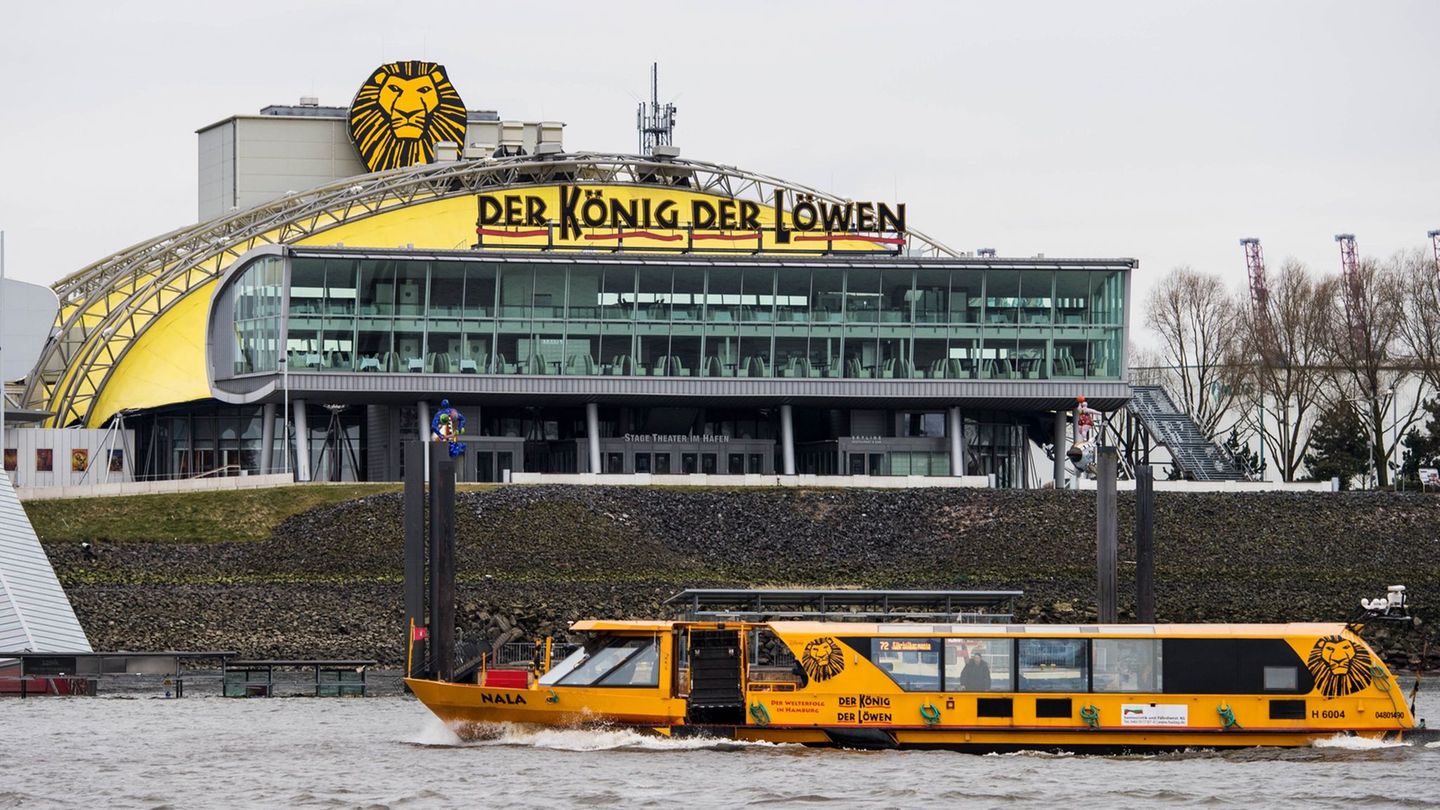 König der Löwen ist seit vielen Jahren in Hamburg zu sehen. (Archivbild) Foto: Malte Christians/dpa