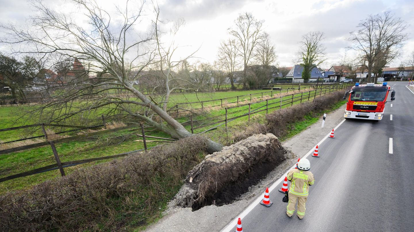 Die Feuerwehren zählen Tausende Einsätze, meist wegen umgestürzter Bäume, umherfliegender Gegenstände oder beschädigter Gebäude. Nach Angaben der Bahn sind zwischenzeitlich mehr als 6.000 Kilometer des Streckennetzes nicht zu befahren. Die Versicherer beziffern die Schäden auf mindestens 1,8 Milliarden Euro