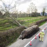 Die Feuerwehren zählen Tausende Einsätze, meist wegen umgestürzter Bäume, umherfliegender Gegenstände oder beschädigter Gebäude. Nach Angaben der Bahn sind zwischenzeitlich mehr als 6.000 Kilometer des Streckennetzes nicht zu befahren. Die Versicherer beziffern die Schäden auf mindestens 1,8 Milliarden Euro