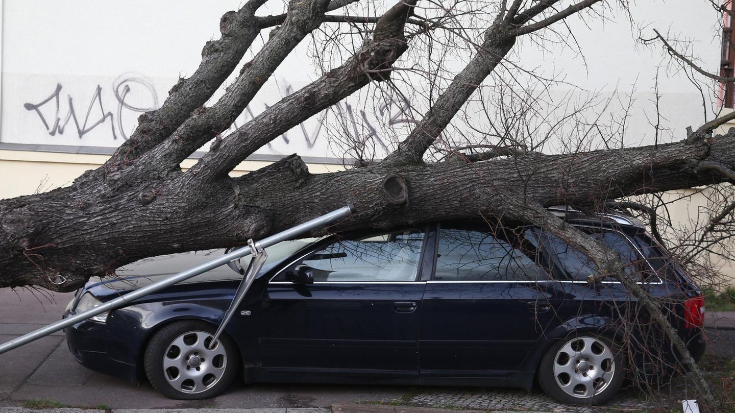 Infolge des schweren Orkans, der im Januar 2018 von Nordrhein-Westfalen über die Mitte Deutschlands bis nach Sachsen zieht, sterben mindestens acht Menschen