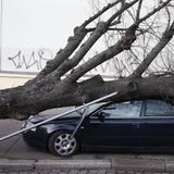 Infolge des schweren Orkans, der im Januar 2018 von Nordrhein-Westfalen über die Mitte Deutschlands bis nach Sachsen zieht, sterben mindestens acht Menschen