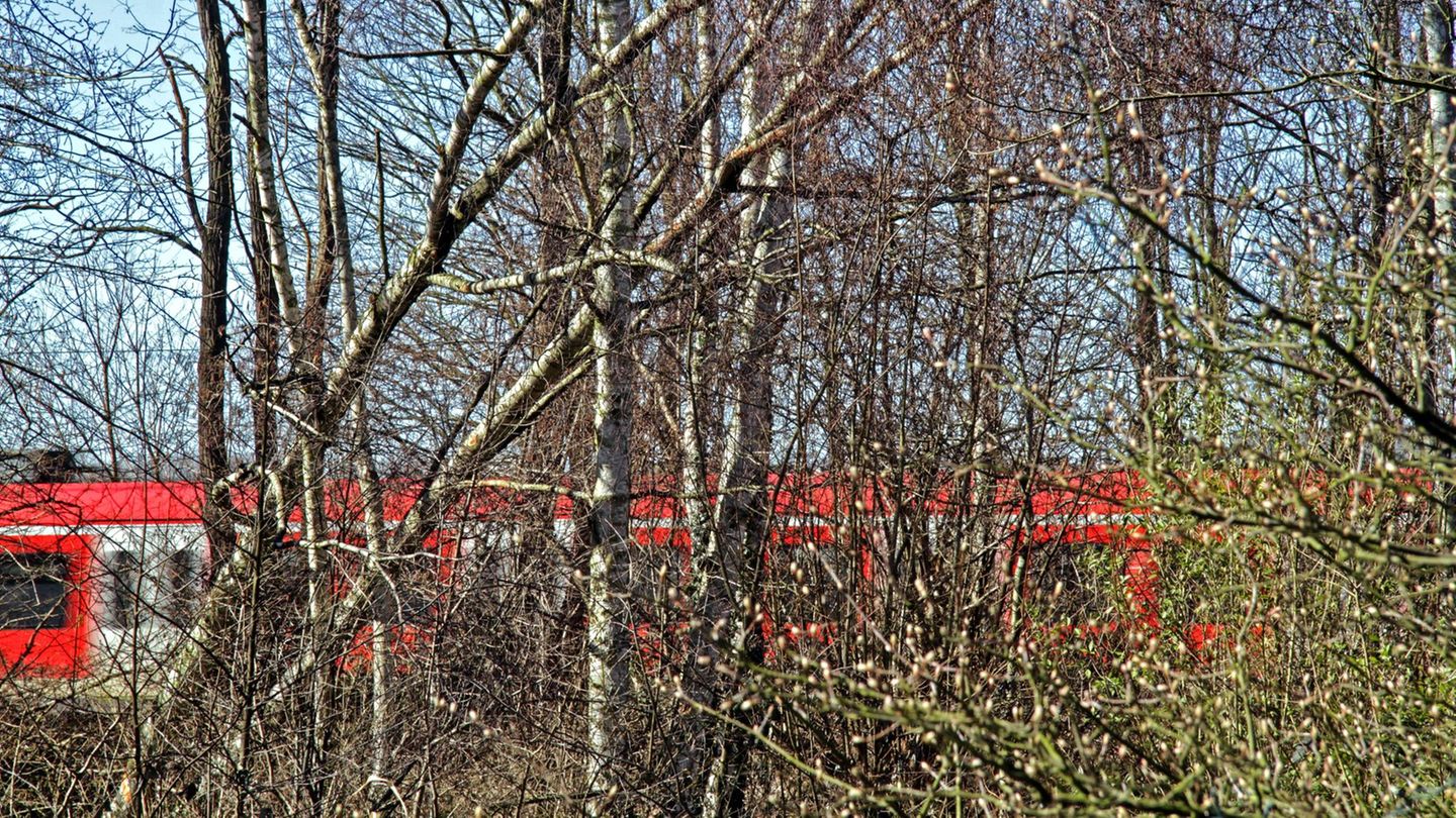 Der Fernverkehr der Deutschen Bahn ist bundesweit lahmgelegt, mehrere Flughäfen streichen aus Sicherheitsgründen Flüge. In einigen Bundesländern fällt der Schulunterricht aus. Es entsteht ein versicherter Schaden von rund 1,75 Milliarden Euro