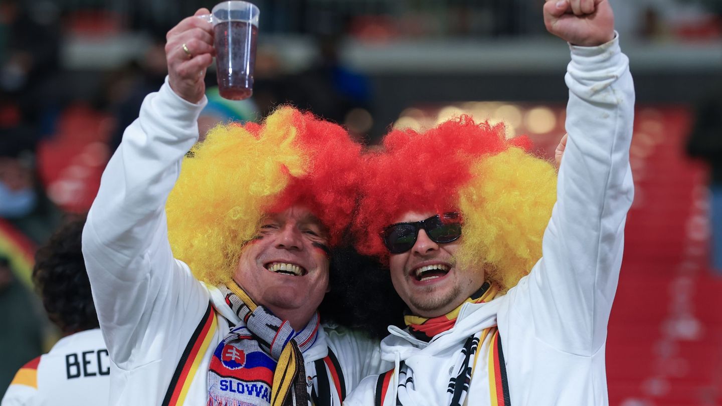Für treue Fans gibt es günstigere Tickets bei der Fußball-WM. (Archivbild). Foto: Jan Woitas/dpa