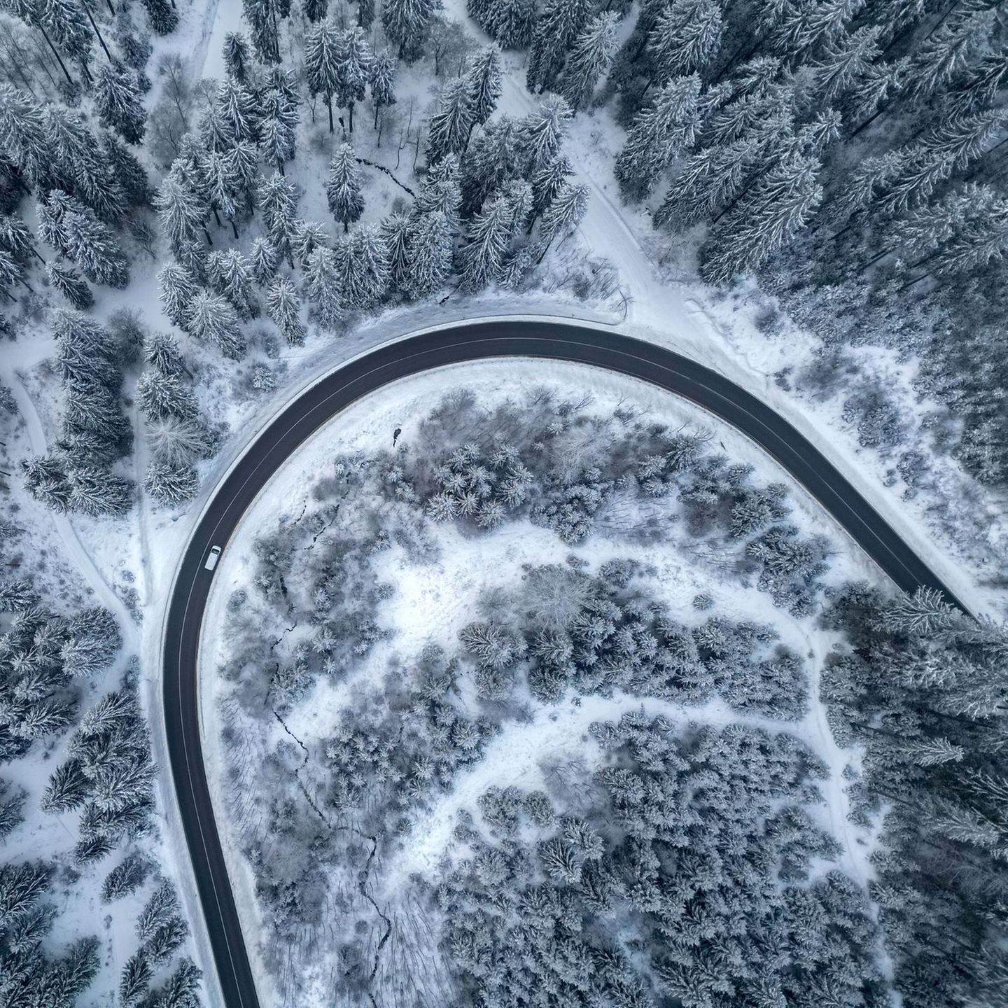 Klingenthal, Deutschland. Für diesen Anblick gibt es wohl nur einen passenden Ohrwurm: "Driving Home for Christmas". Schade nur, dass diese Aufnahme nicht mehr aus der Weihnachtszeit stammt, sondern sich das Winterwetter erst zu neuen Jahr einstellt. Aber vielleicht stellt sich ja bei dem ein oder anderen in dem Schneegestöber noch ein bisschen Weihnachtsstimmung ein