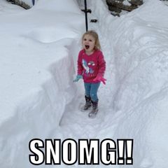 Die vielleicht lustigste und definitiv ungefährlichste Folge des Schnees: Memes zum Schnee