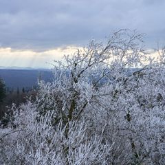 In der Nacht zum Samstag soll es wieder Neuschnee geben. (Symbolbild) Foto: Thomas Frey/dpa