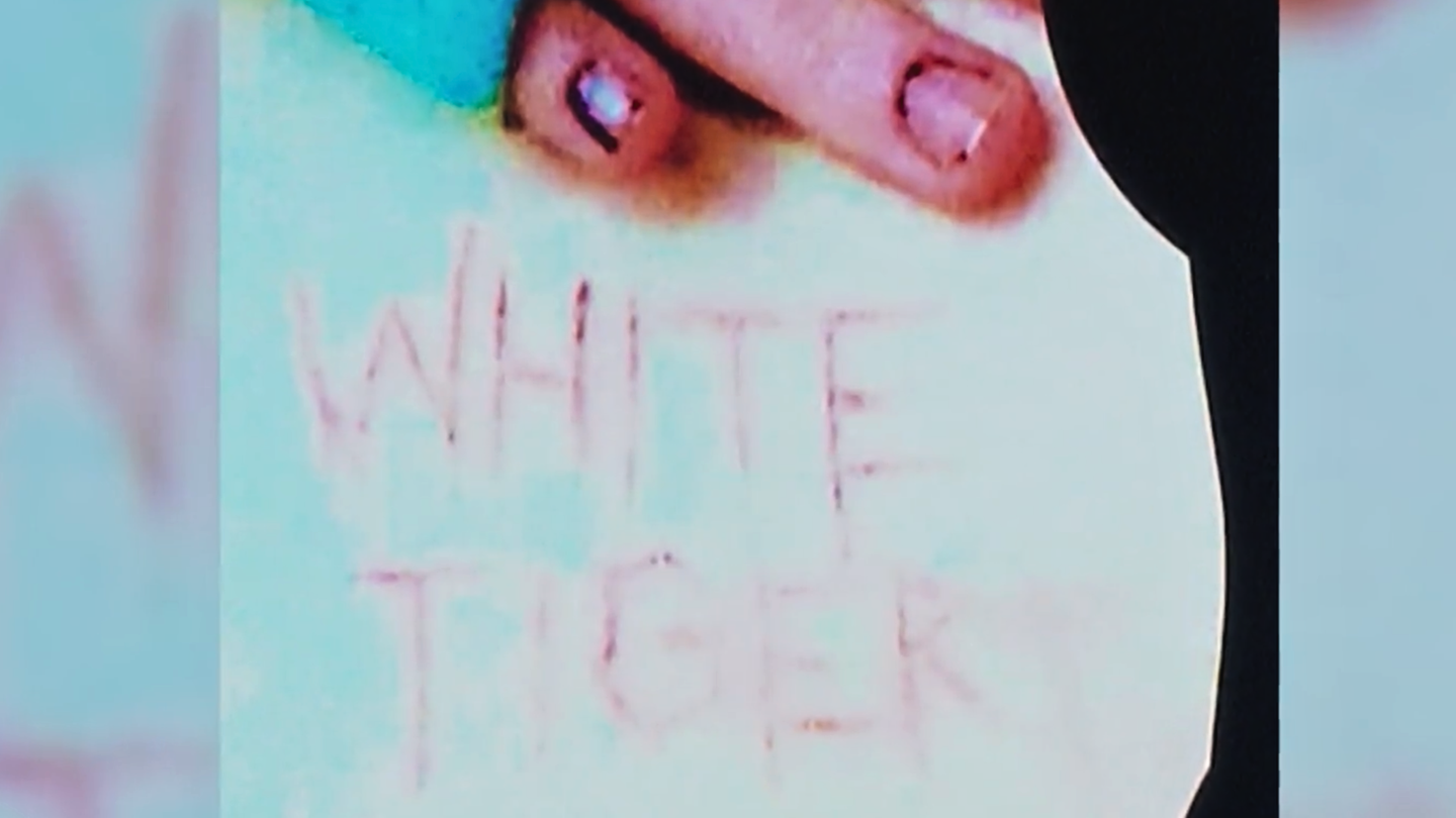 Hamburg: Darum geht es im verstörenden "White Tiger"-Prozess