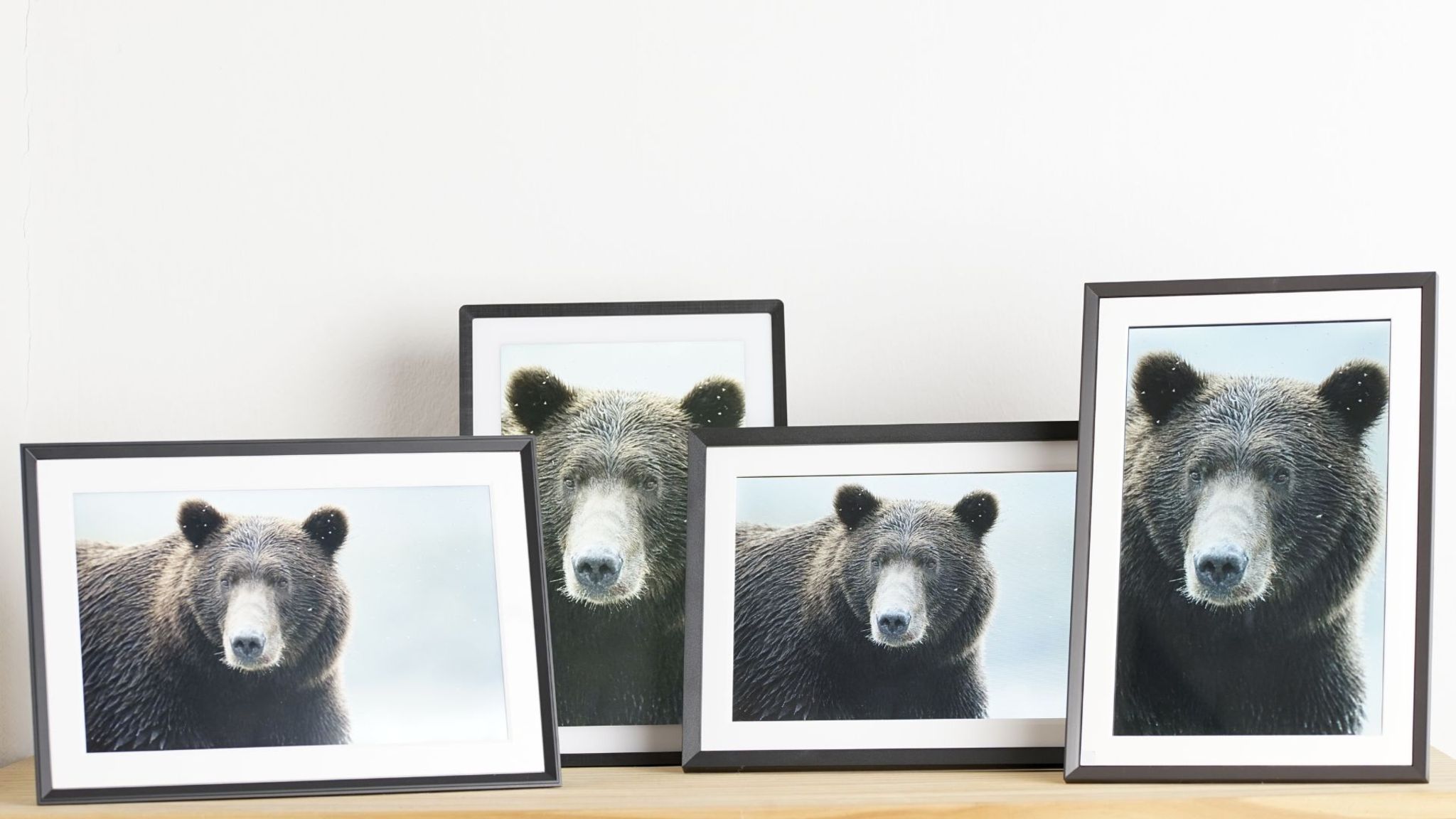 Digitale Bilderrahmen Test: Fünf Modelle im Test