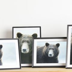 Digitale Bilderrahmen Test: Fünf Modelle im Test